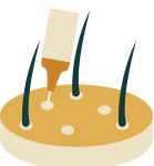 6.tکاشت گرفت