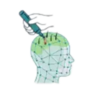 6.	کاشت گرفت